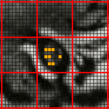 The same image, but rotated 90 degrees right and zoomed in on the eye. A small black grid has been overlaid on the image, with larger red grids dividing up 10x10 sections of the small black grid. Several of the grid cells over the Tiger's eye have been filled in with orange.