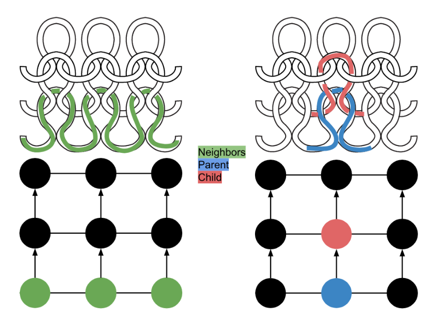 Contrasting pairs of knitgraph diagrams. Top pair show loops pulled through each other, with neighbor strand of loops in green, a parent loop in blue and a child loop in red. Bottom pair shows loops represented as nodes with a neighbor row of loops in green and a blue parent loop below a red child loop.